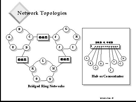 Network Topologies